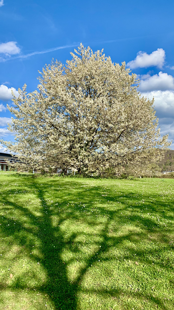 Die Sonne ist zurück