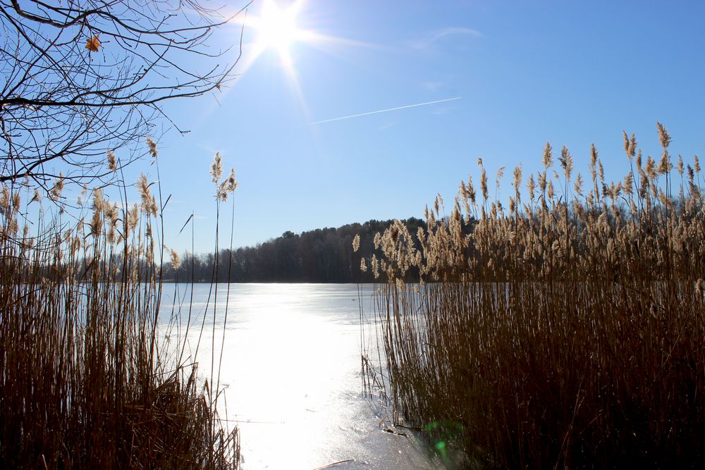 Die Sonne ist zurück