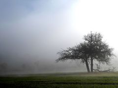 Die Sonne kämpft...