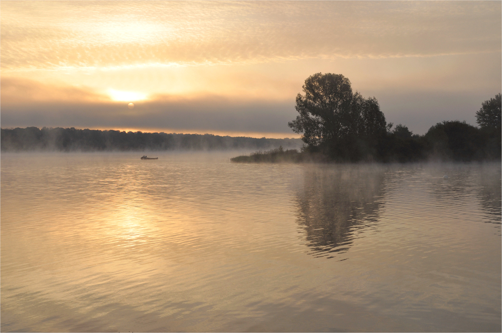 die Sonne kämpft  gegen den Nebel