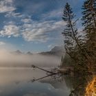 Die Sonne kämpft gegen den Nebel