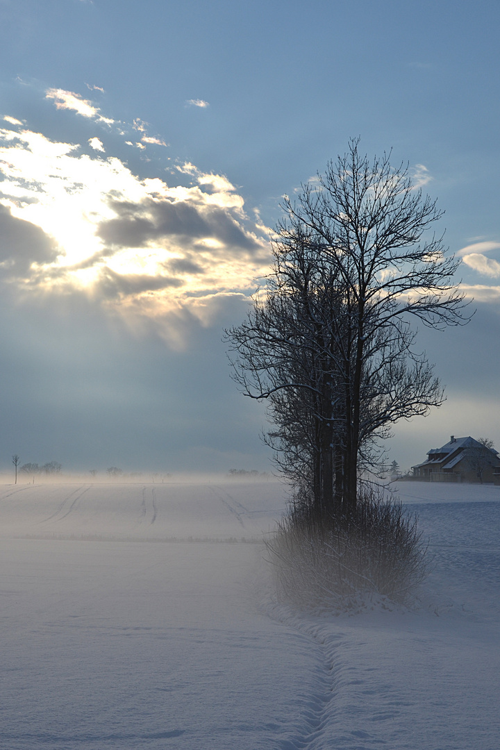 Die Sonne kämpft gegen den Winter