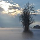 Die Sonne kämpft gegen den Winter