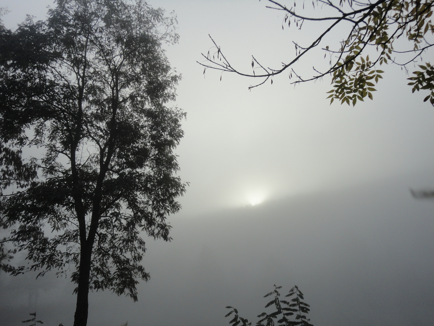 Die Sonne kämpft noch....