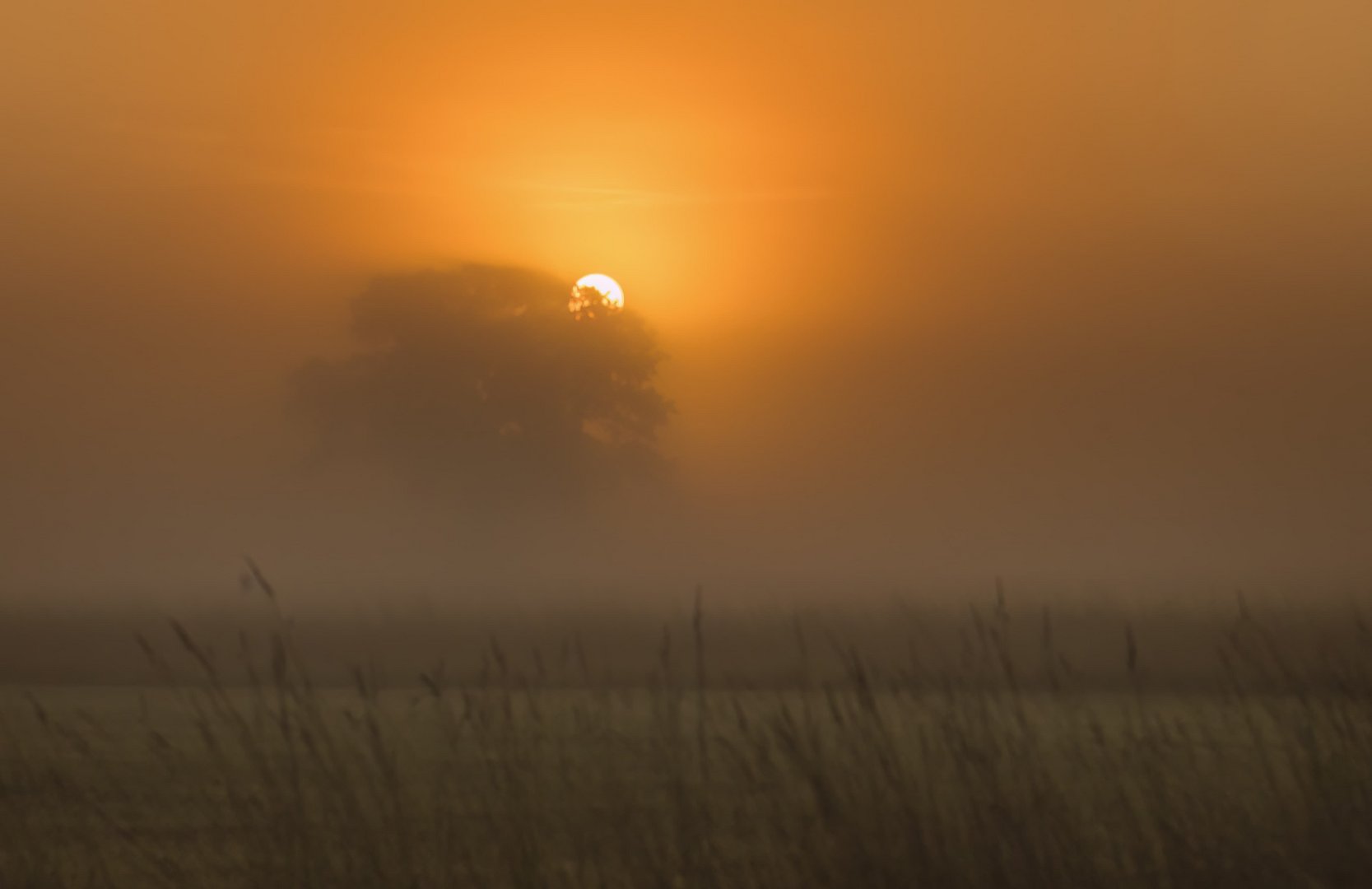 Die Sonne kämpft sich durch