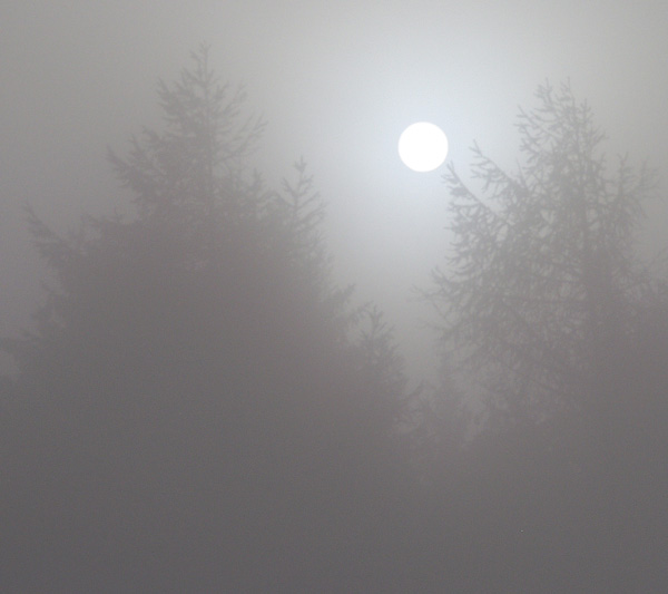 Die Sonne kämpft sich durch