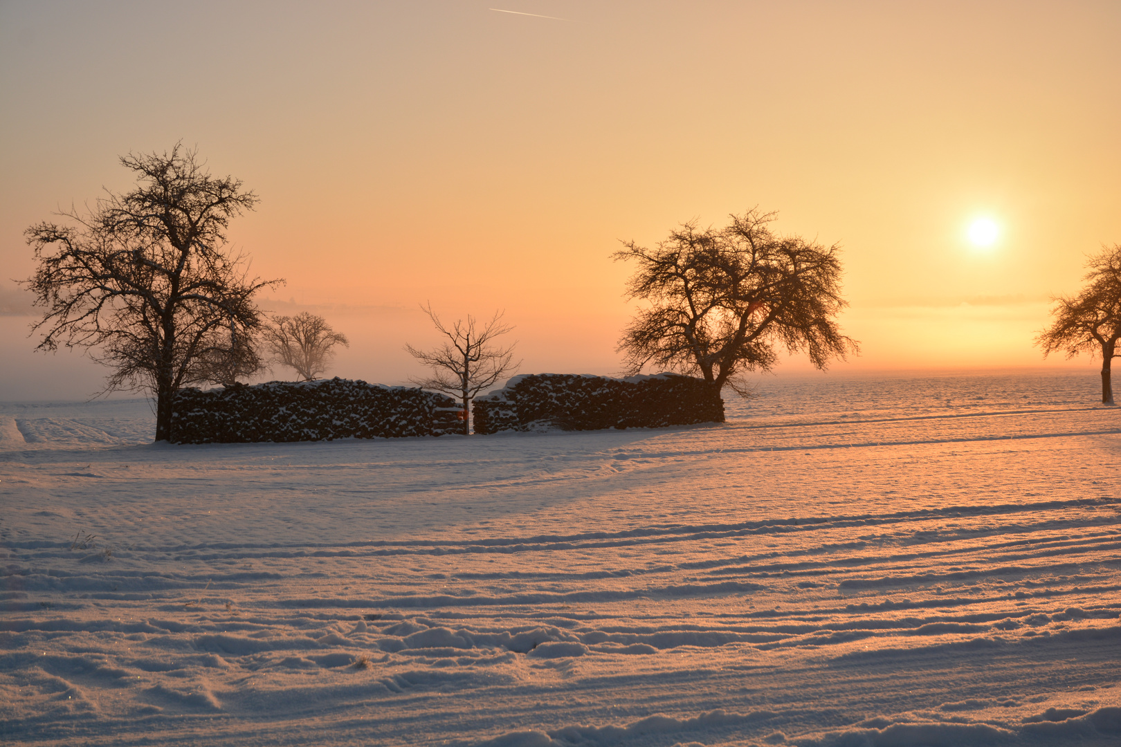 Die Sonne kämpft sich durch den Morgennebel