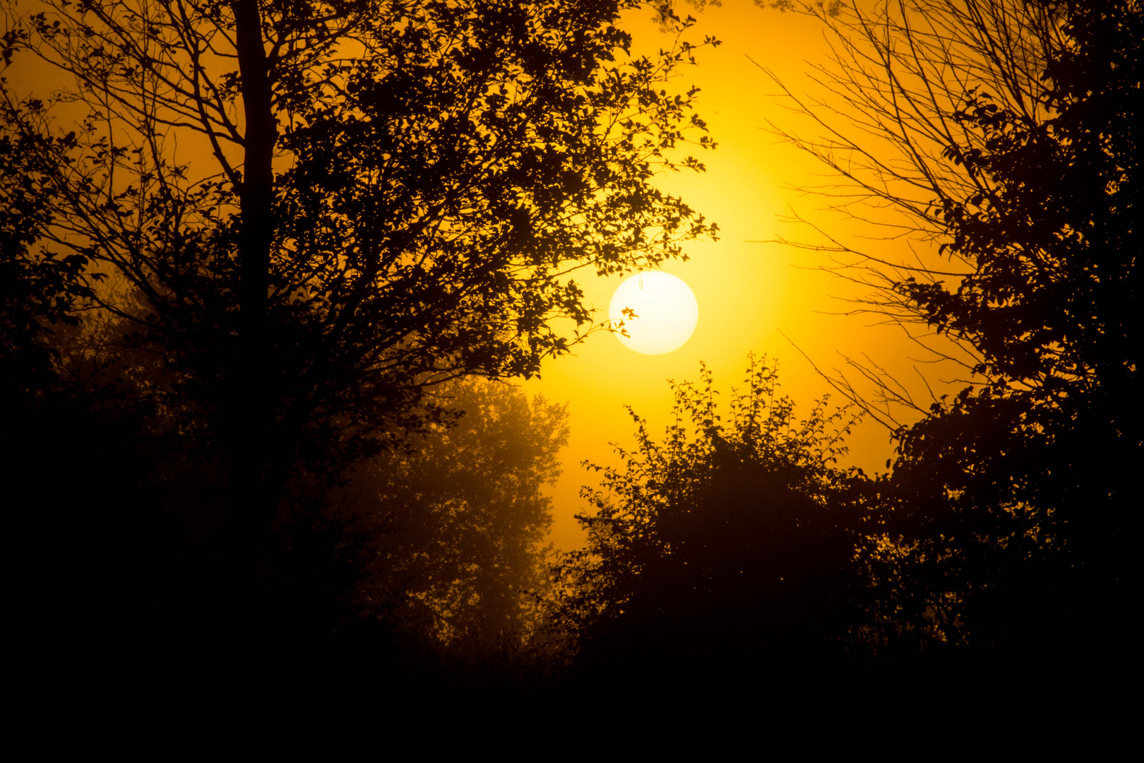 Die Sonne kämpft sich durch den Morgennebel