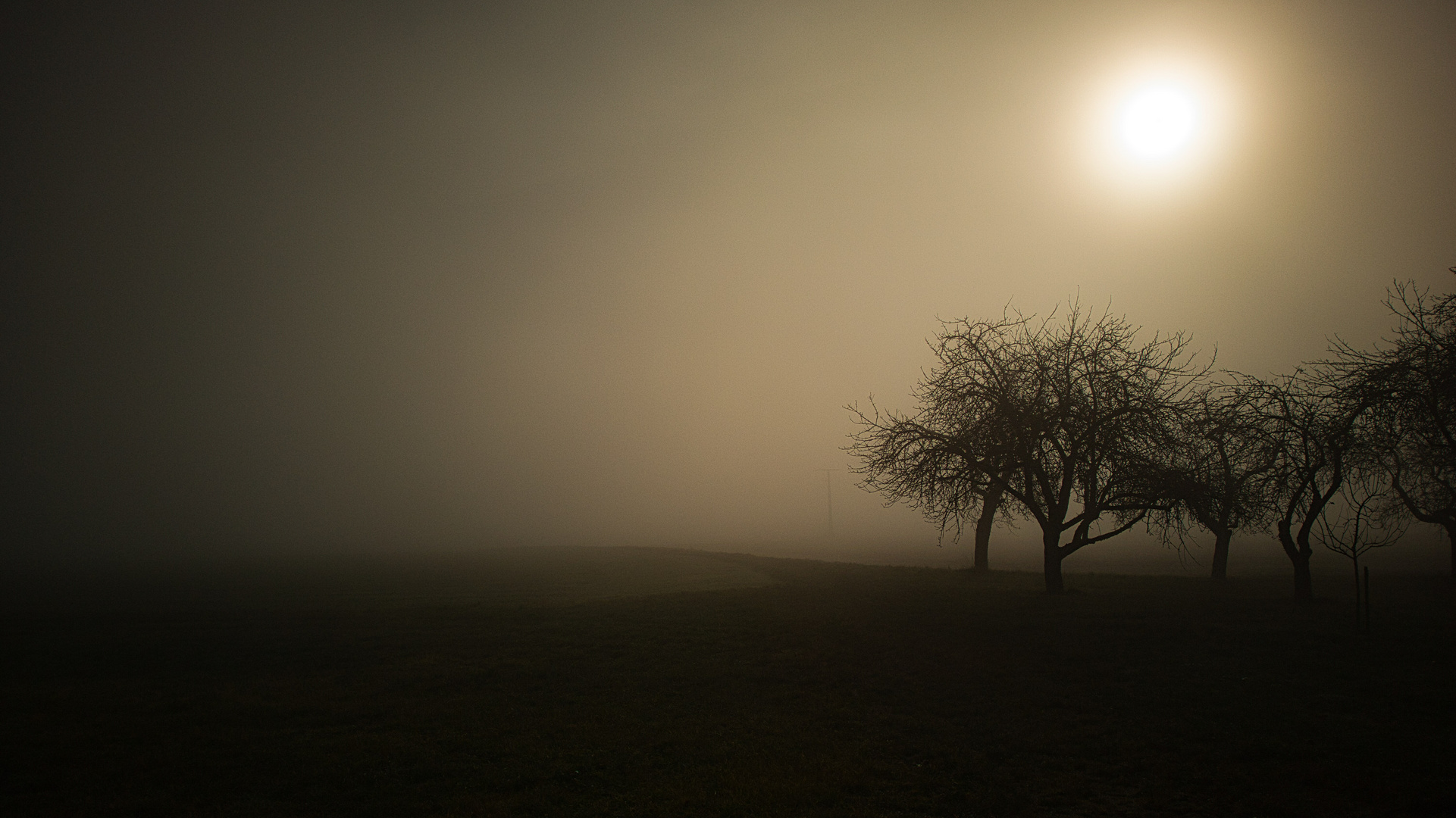 Die Sonne kämpft sich durch den Morgennebel