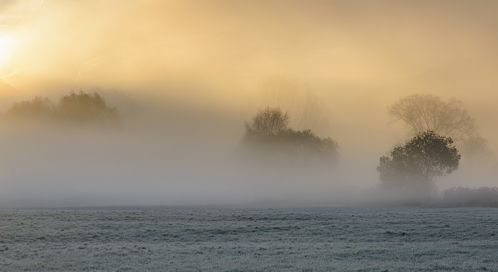 Die Sonne kämpft sich durch den Nebel