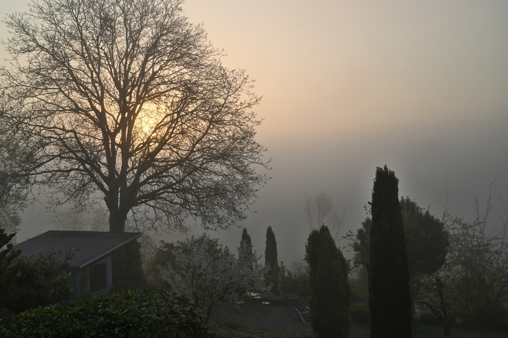 Die Sonne kämpft sich durch den Nebel.