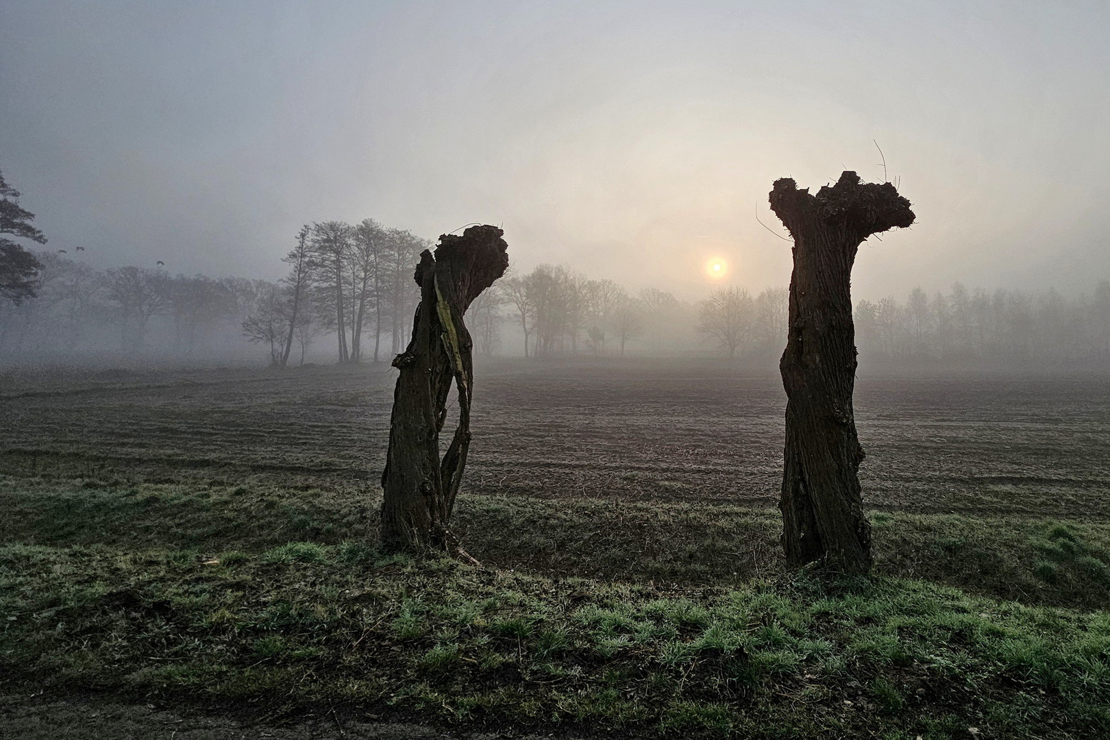 die Sonne kämpft sich durch den Nebel..