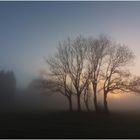 Die Sonne kämpft sich durch den Nebel.