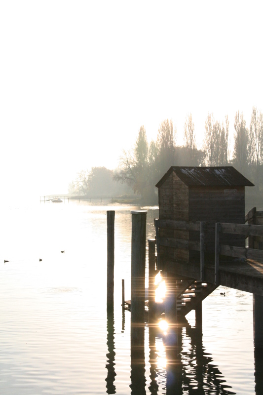 Die Sonne kämpft sich durch den Nebel