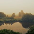 Die Sonne kämpft sich durch den Nebel