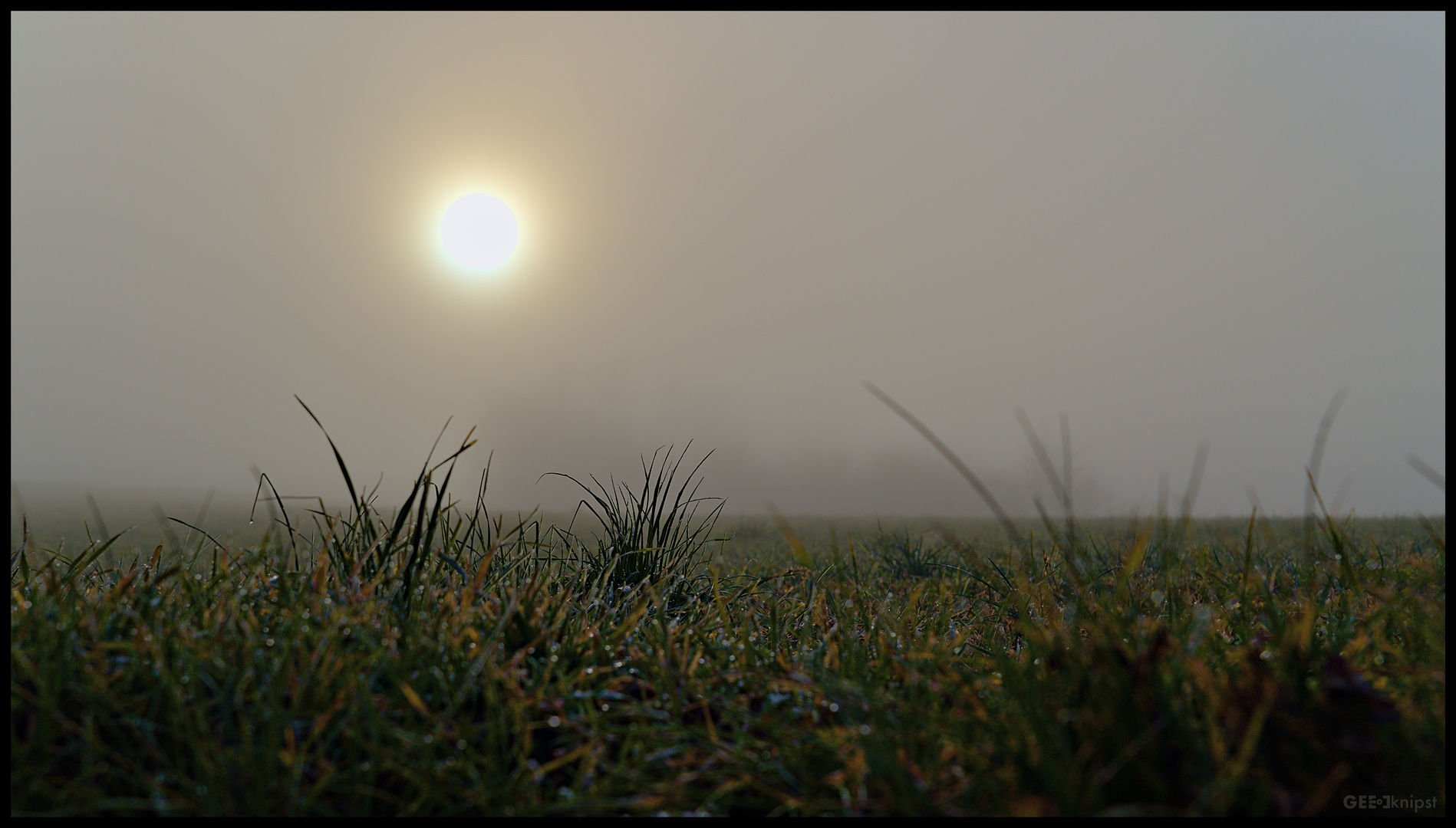 Die Sonne kämpft sich durch den Nebel