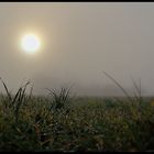 Die Sonne kämpft sich durch den Nebel