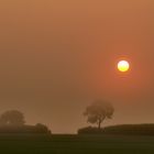 Die Sonne kämpft sich durch den Nebel