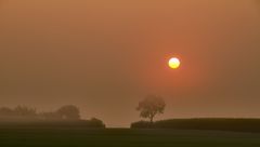 Die Sonne kämpft sich durch den Nebel