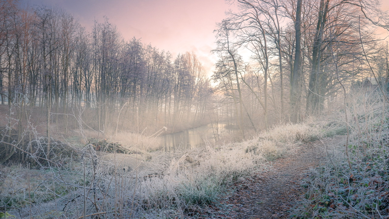 Die Sonne kämpft sich durch die frostige Nacht 