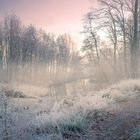 Die Sonne kämpft sich durch die frostige Nacht 