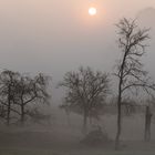 Die Sonne kämpft sich durch....