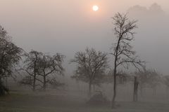 Die Sonne kämpft sich durch....