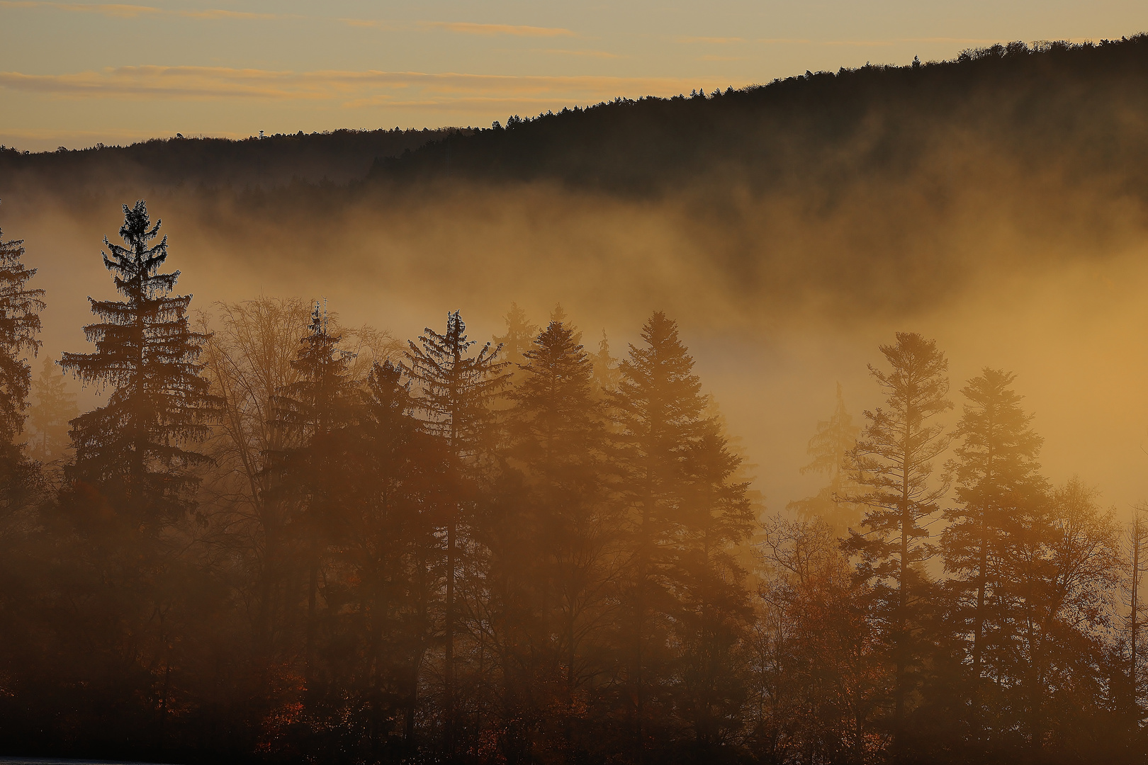 Die Sonne kämpft sich durch... ( Goldnebel )