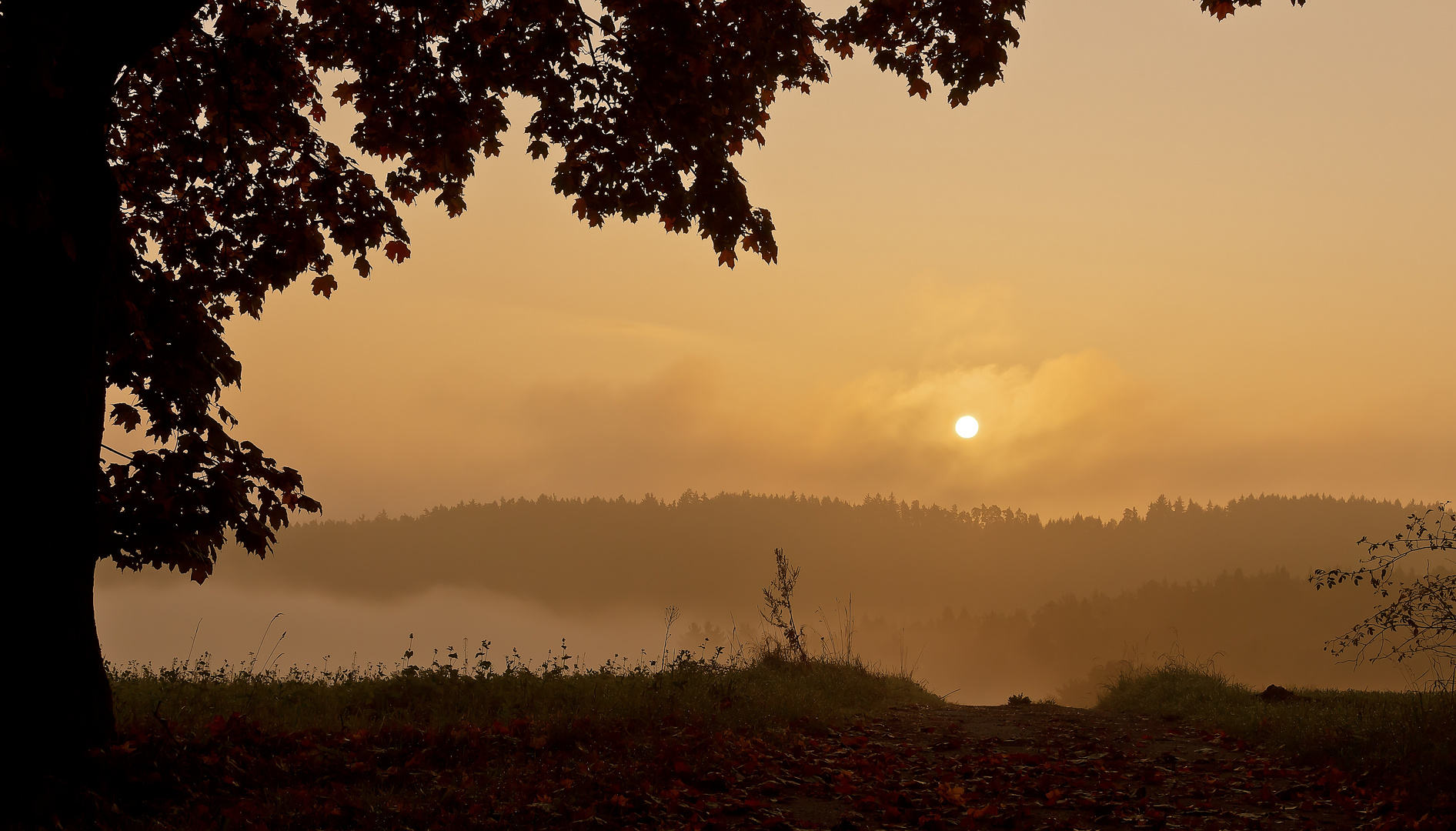 Die Sonne kämpt sich durch den Nebel