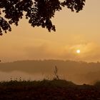 Die Sonne kämpt sich durch den Nebel