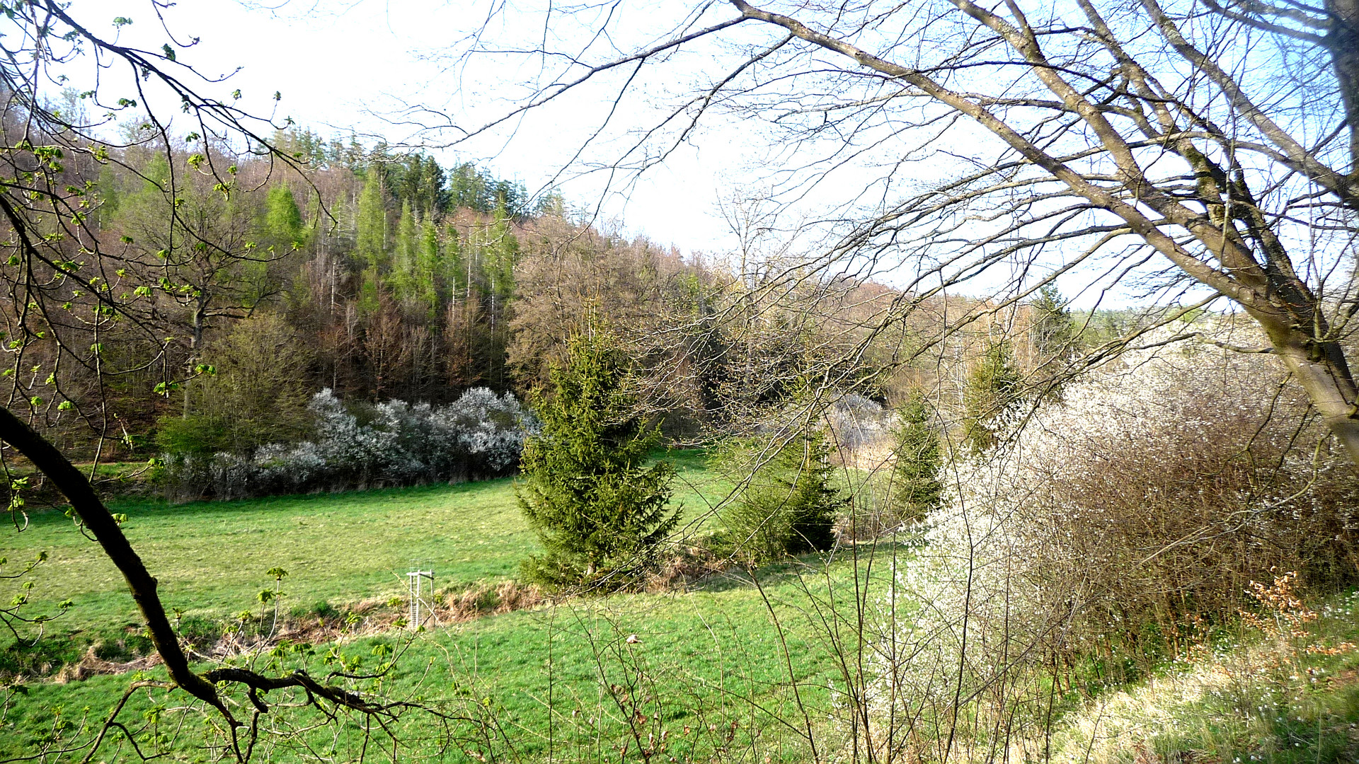 Die Sonne kam durch im Bärenbachtal