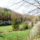 Die Sonne kam durch im Bärenbachtal