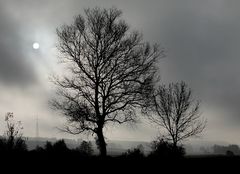 "Die Sonne kann sich noch nicht entscheiden"