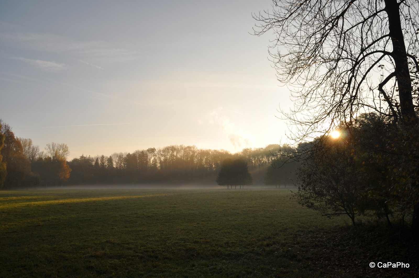 Die Sonne kommt