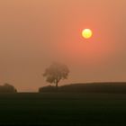 Die Sonne kommt