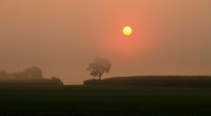 Die Sonne kommt