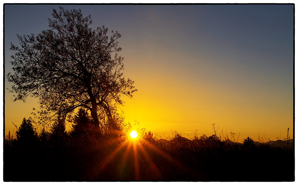 Die Sonne kommt