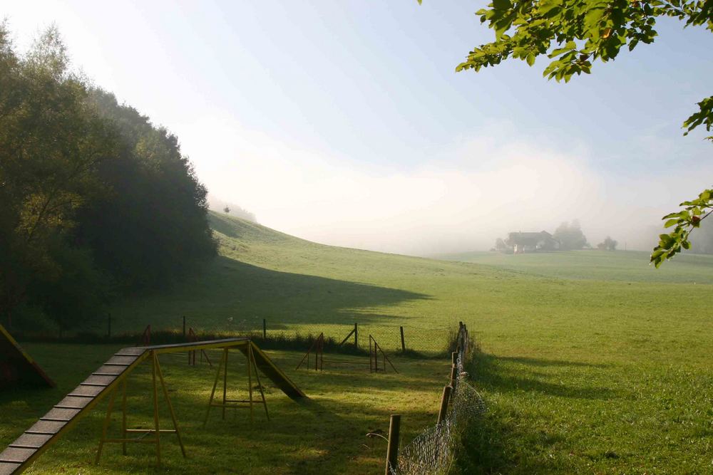 Die Sonne kommt!