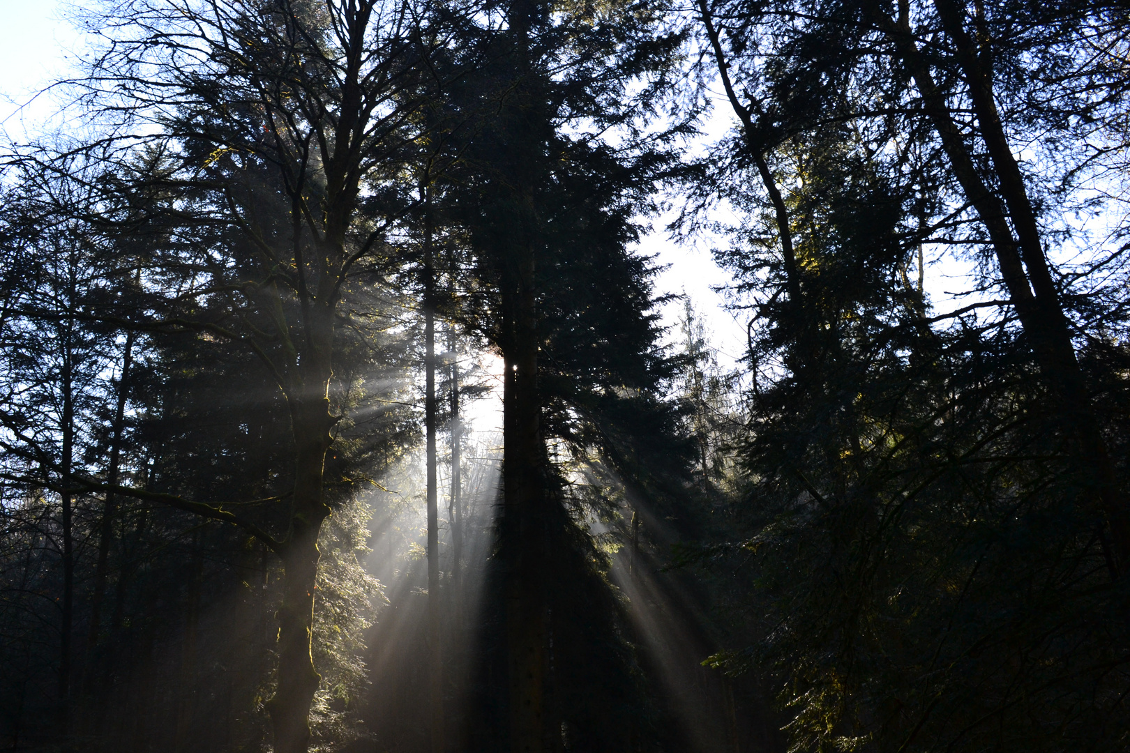 Die Sonne kommt 