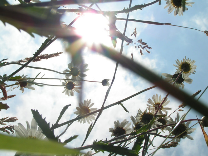 Die Sonne kommt