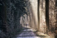 Die Sonne kommt...