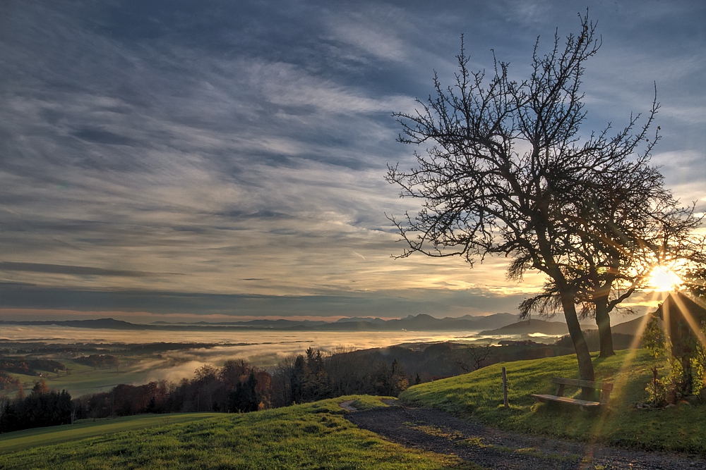 Die Sonne kommt