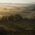 die Sonne kommt