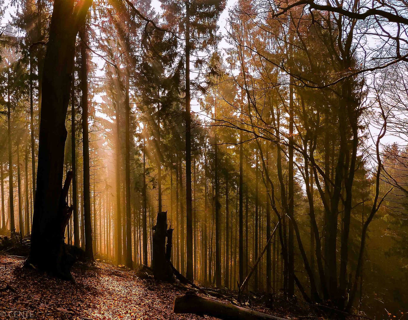 Die Sonne kommt