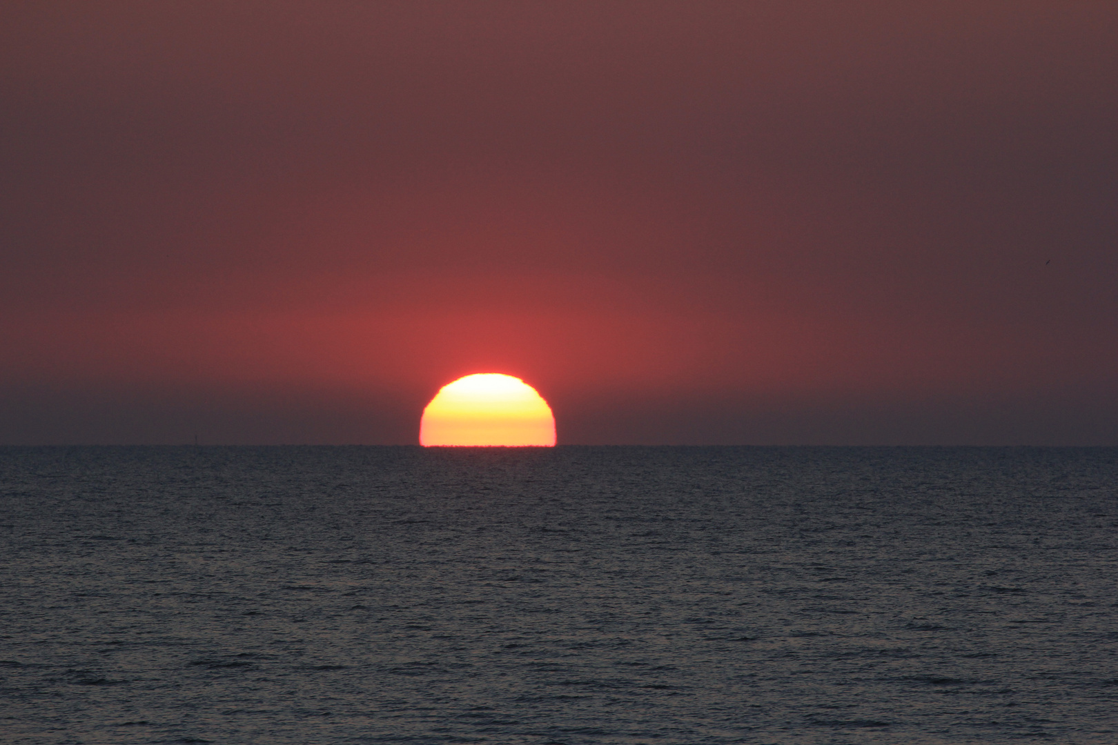 "Die Sonne kommt aus dem Meer (1) "