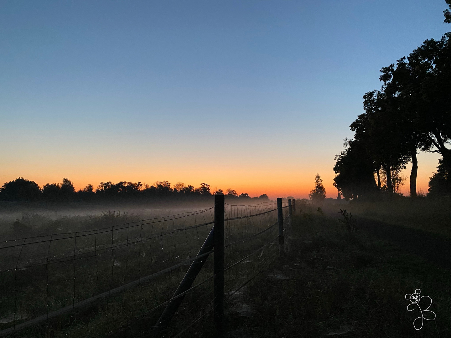 Die Sonne kommt bald