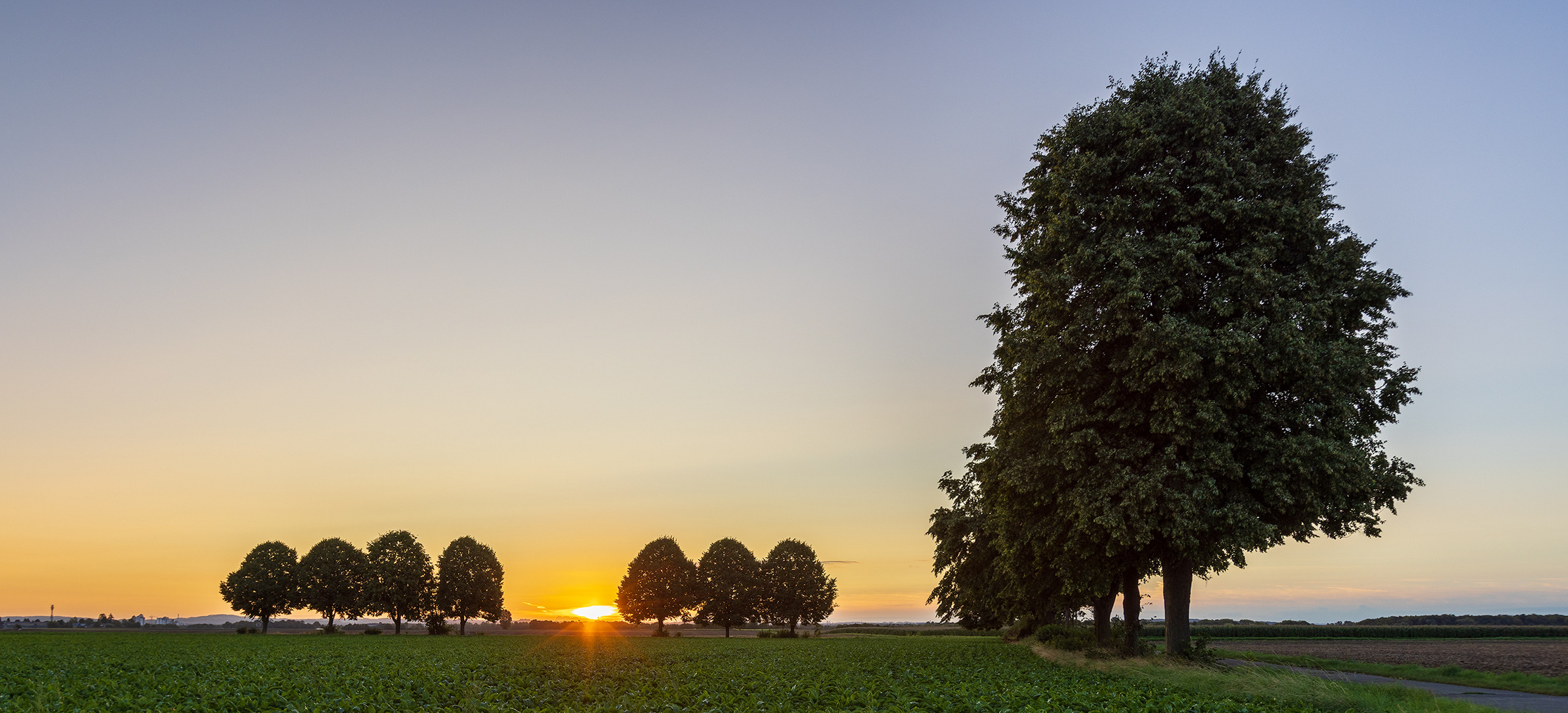 die Sonne kommt