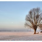 die Sonne kommt, der Mond geht...