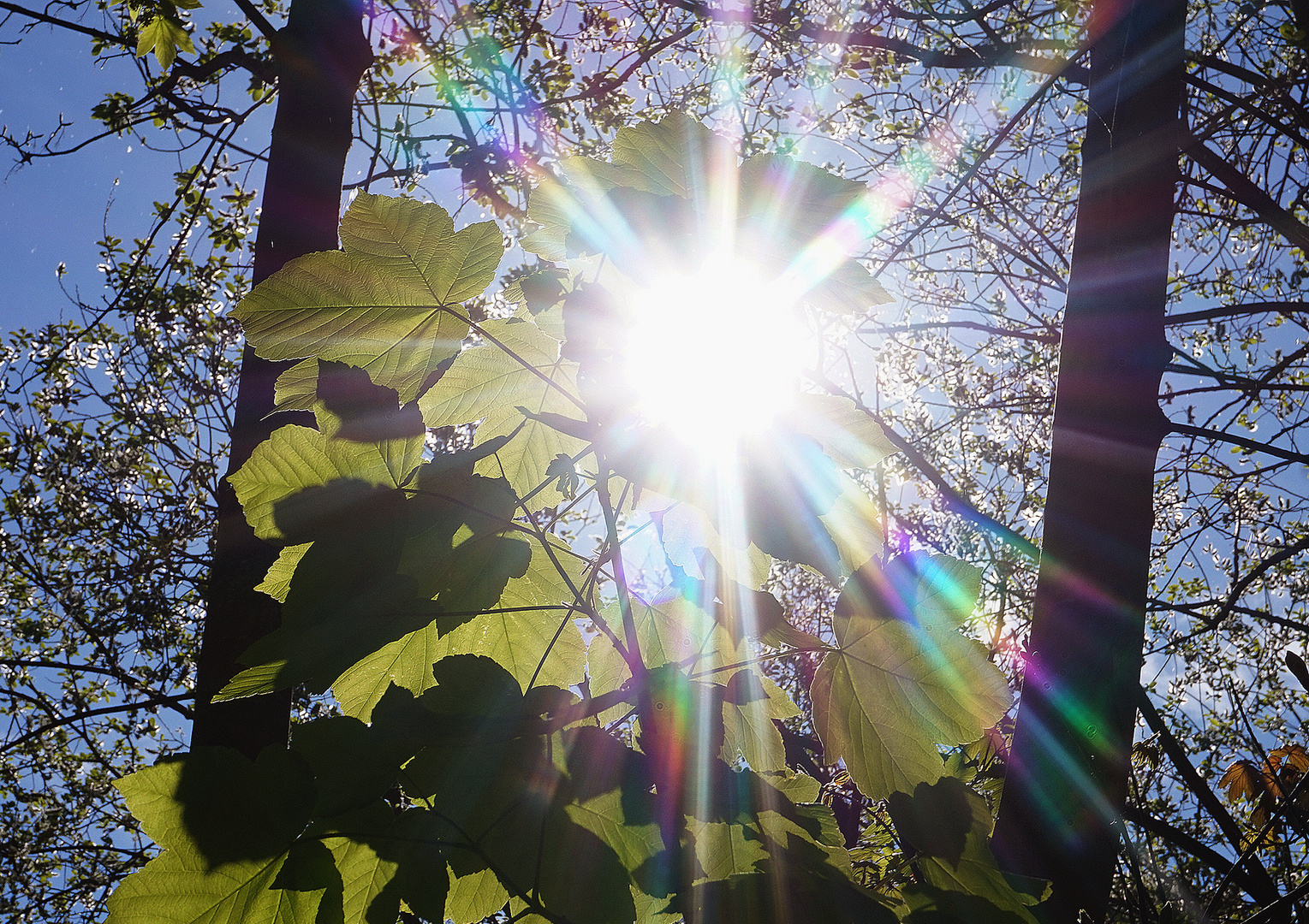 Die Sonne kommt durch