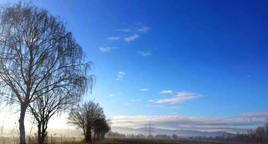 Die Sonne kommt durch den Nebel